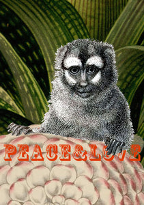Poster love scimmia