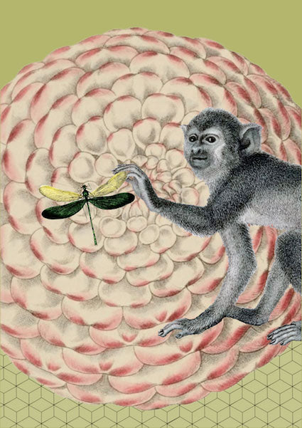 Poster scimmia gesto